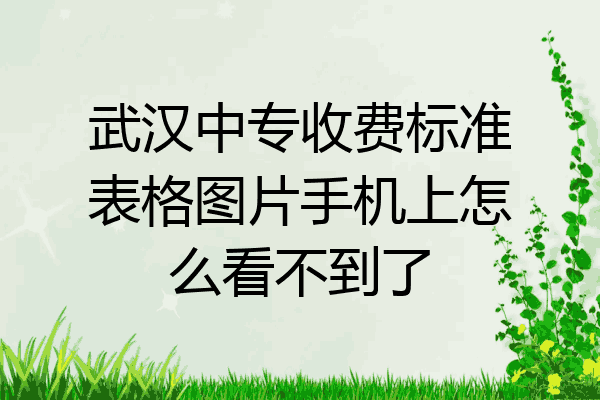 武汉中专收费标准表格图片手机上怎么看不到了