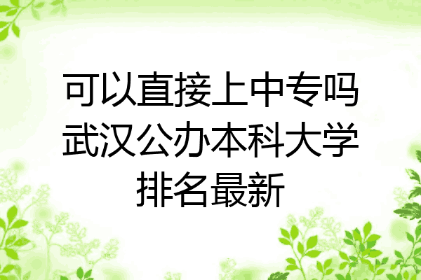 可以直接上中专吗武汉公办本科大学排名最新