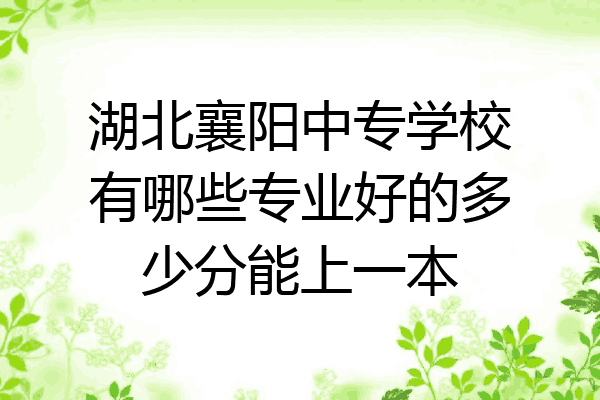 湖北襄阳中专学校有哪些专业好的多少分能上一本