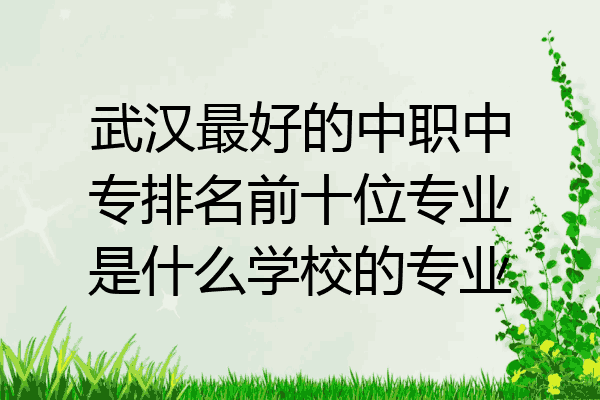 武汉最好的中职中专排名前十位专业是什么学校的专业