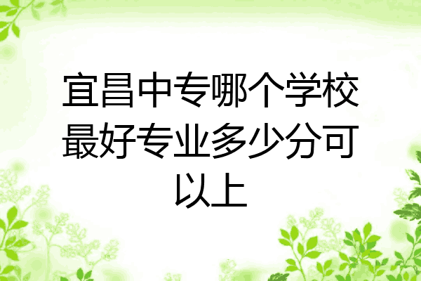 宜昌中专哪个学校最好专业多少分可以上