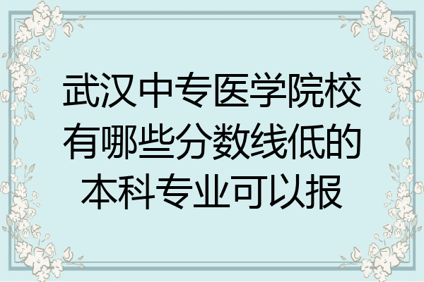 武汉中专医学院校有哪些分数线低的本科专业可以报