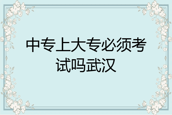 中专上大专必须考试吗武汉