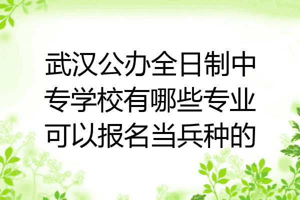武汉公办全日制中专学校有哪些专业可以报名当兵种的