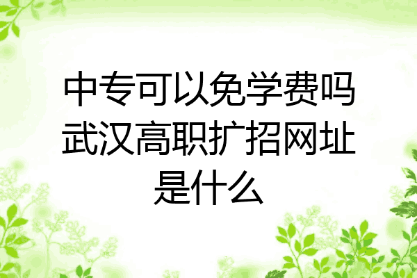 中专可以免学费吗武汉高职扩招网址是什么