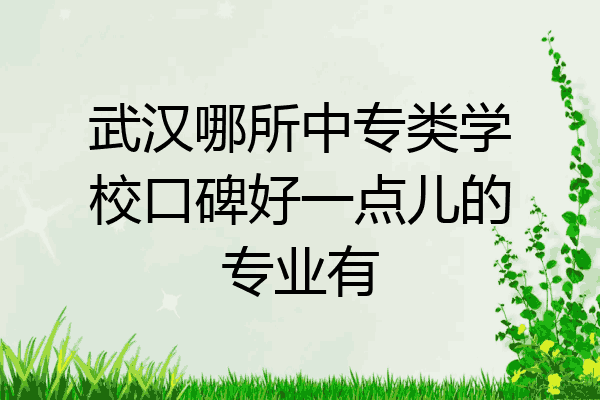 武汉哪所中专类学校口碑好一点儿的专业有
