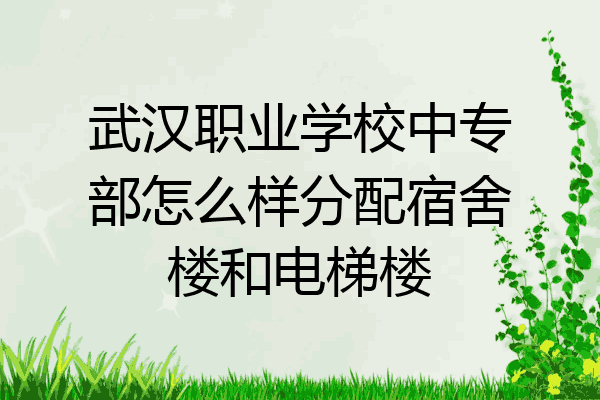 武汉职业学校中专部怎么样分配宿舍楼和电梯楼