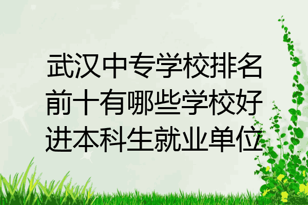 武汉中专学校排名前十有哪些学校好进本科生就业单位