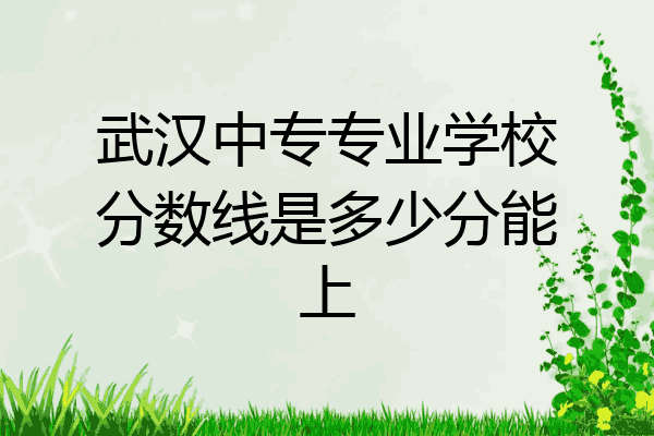 武汉中专专业学校分数线是多少分能上