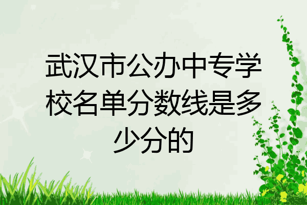 武汉市公办中专学校名单分数线是多少分的