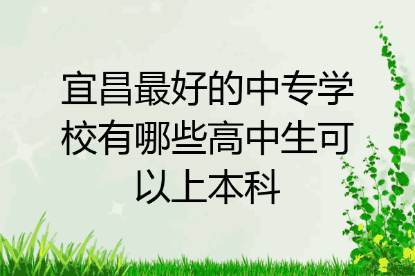 宜昌最好的中专学校有哪些高中生可以上本科
