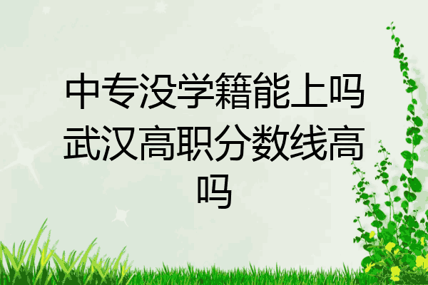 中专没学籍能上吗武汉高职分数线高吗