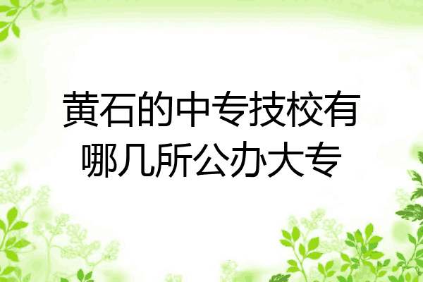 黄石的中专技校有哪几所公办大专