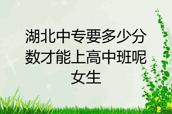 湖北中专要多少分数才能上高中班呢女生