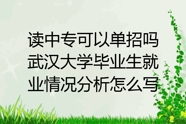 读中专可以单招吗武汉大学毕业生就业情况分析怎么写