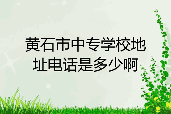 黄石市中专学校地址电话是多少啊