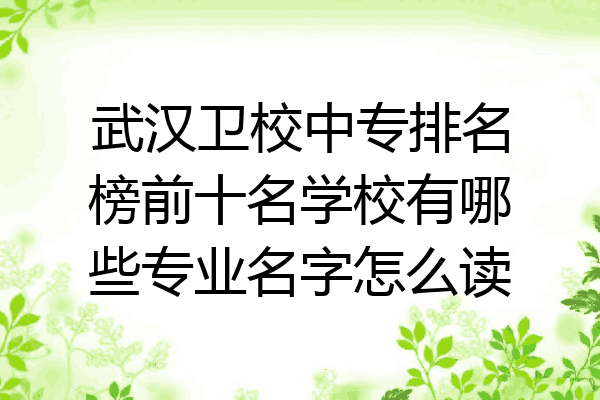 武汉卫校中专排名榜前十名学校有哪些专业名字怎么读