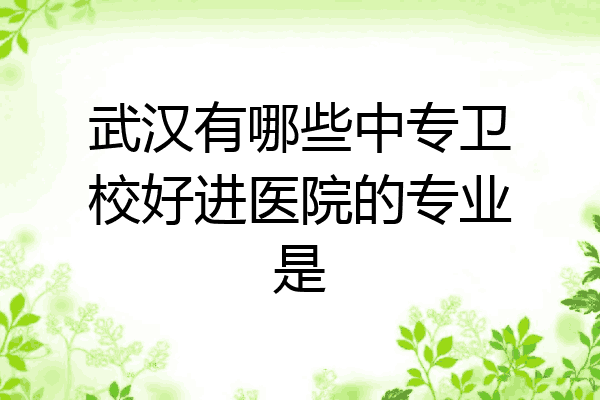 武汉有哪些中专卫校好进医院的专业是