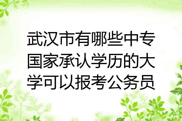 武汉市有哪些中专国家承认学历的大学可以报考公务员