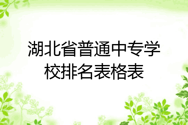 湖北省普通中专学校排名表格表