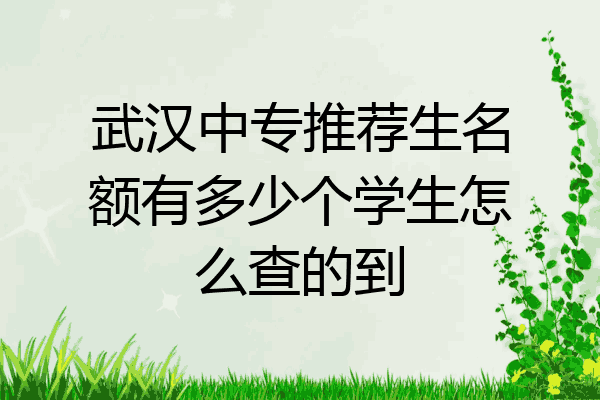 武汉中专推荐生名额有多少个学生怎么查的到
