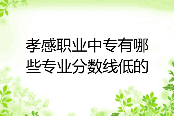 孝感职业中专有哪些专业分数线低的