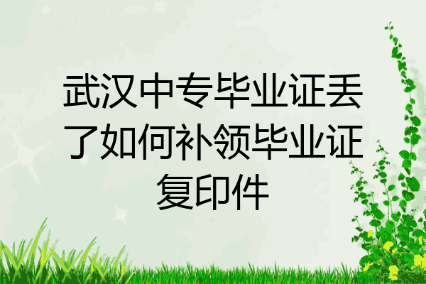 武汉中专毕业证丢了如何补领毕业证复印件