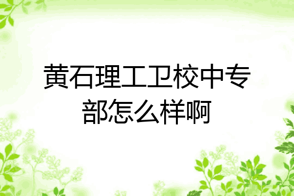 黄石理工卫校中专部怎么样啊