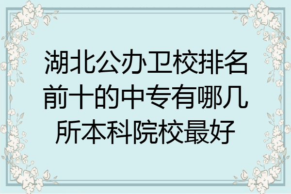 湖北公办卫校排名前十的中专有哪几所本科院校最好