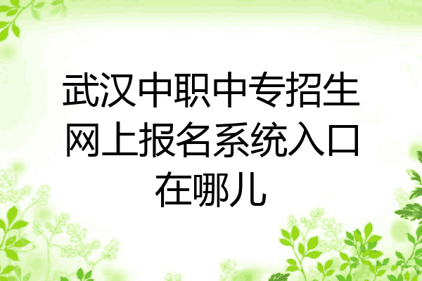 武汉中职中专招生网上报名系统入口在哪儿
