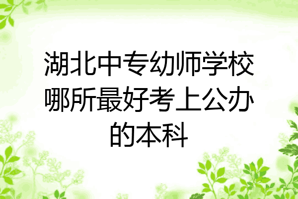 湖北中专幼师学校哪所最好考上公办的本科