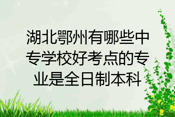 湖北鄂州有哪些中专学校好考点的专业是全日制本科