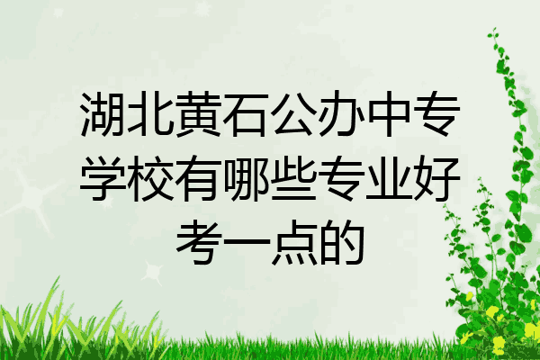 湖北黄石公办中专学校有哪些专业好考一点的