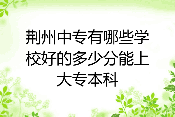 荆州中专有哪些学校好的多少分能上大专本科