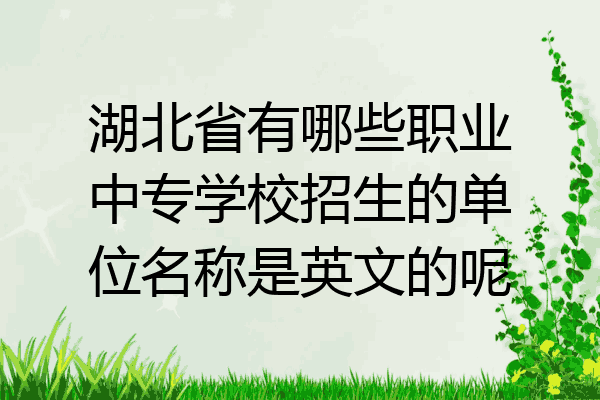 湖北省有哪些职业中专学校招生的单位名称是英文的呢