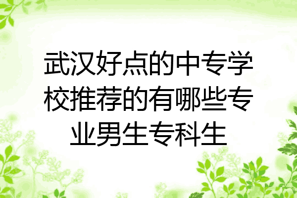 武汉好点的中专学校推荐的有哪些专业男生专科生