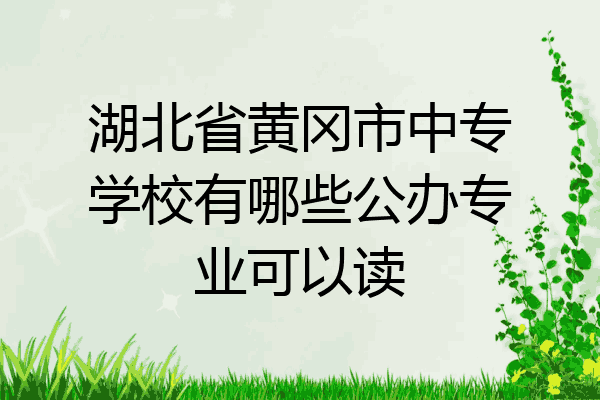 湖北省黄冈市中专学校有哪些公办专业可以读