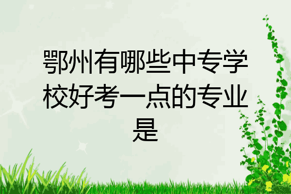 鄂州有哪些中专学校好考一点的专业是
