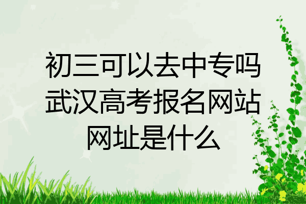 初三可以去中专吗武汉高考报名网站网址是什么