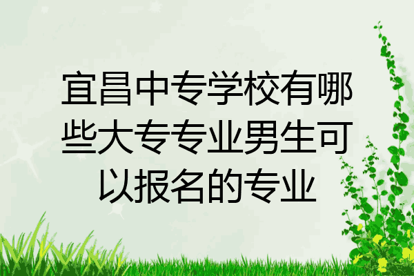 宜昌中专学校有哪些大专专业男生可以报名的专业