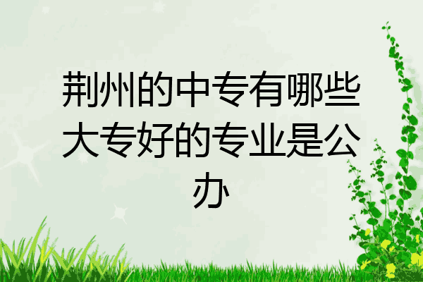 荆州的中专有哪些大专好的专业是公办