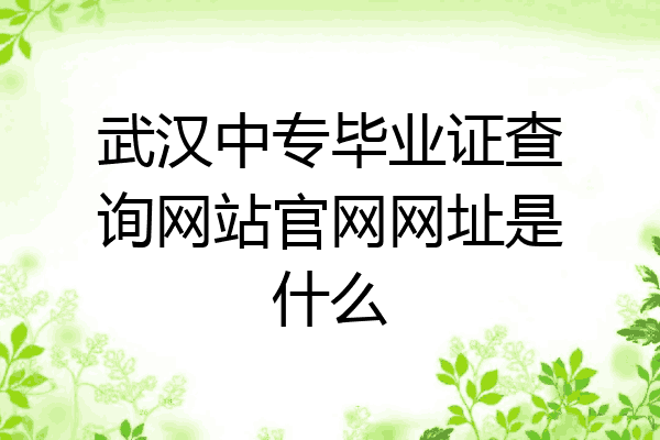 武汉中专毕业证查询网站官网网址是什么