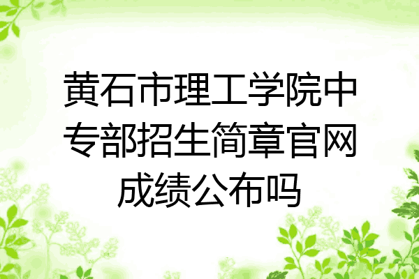 黄石市理工学院中专部招生简章官网成绩公布吗