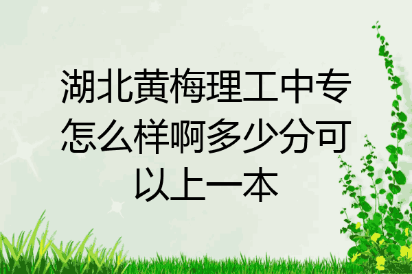 湖北黄梅理工中专怎么样啊多少分可以上一本