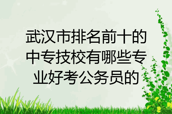 武汉市排名前十的中专技校有哪些专业好考公务员的
