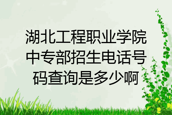 湖北工程职业学院中专部招生电话号码查询是多少啊