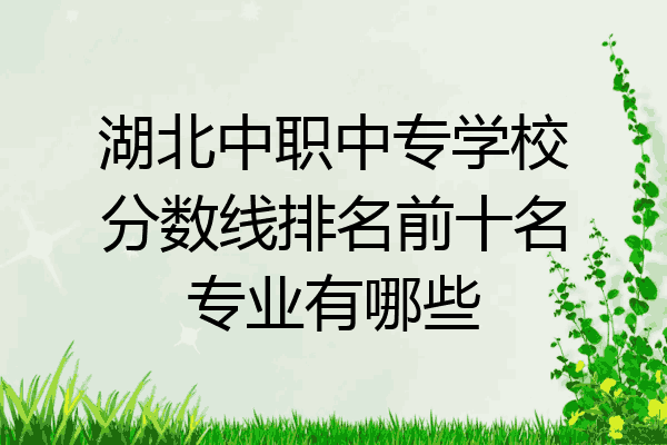湖北中职中专学校分数线排名前十名专业有哪些