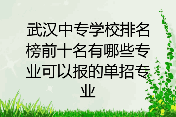 武汉中专学校排名榜前十名有哪些专业可以报的单招专业