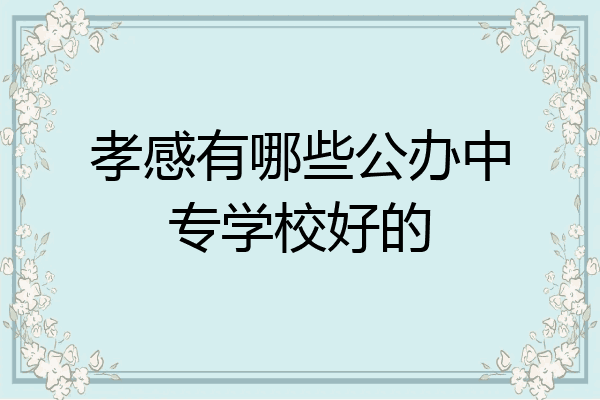 孝感有哪些公办中专学校好的