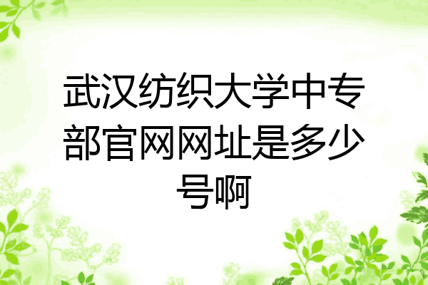 武汉纺织大学中专部官网网址是多少号啊